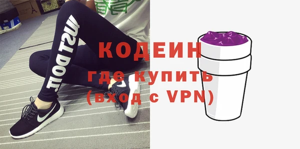 шишки Анжеро-Судженск