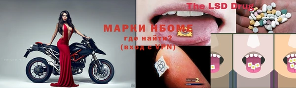 шишки Анжеро-Судженск