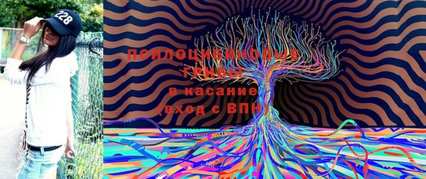 шишки Анжеро-Судженск