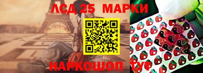 спиды Донской
