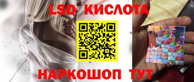 спиды Донской