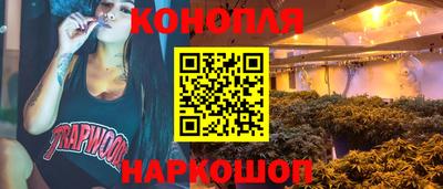 стафф Дубна