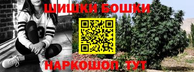 стафф Дубна