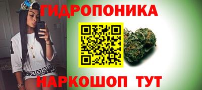 стафф Дубна