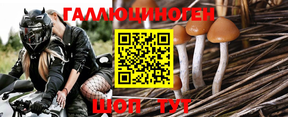 Галлюциногенные грибы Magic Shrooms Избербаш