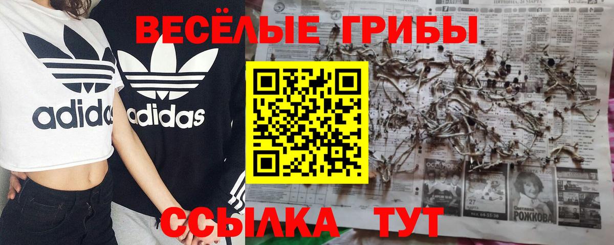 Галлюциногенные грибы MAGIC MUSHROOMS Избербаш