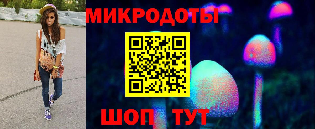 Галлюциногенные грибы Psilocybine cubensis  Избербаш 