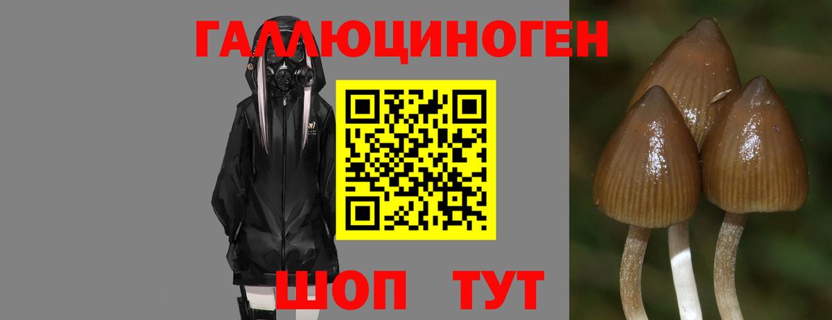Галлюциногенные грибы мухоморы  Вход с VPN  Псилоцибиновые грибы Cubensis  Избербаш 