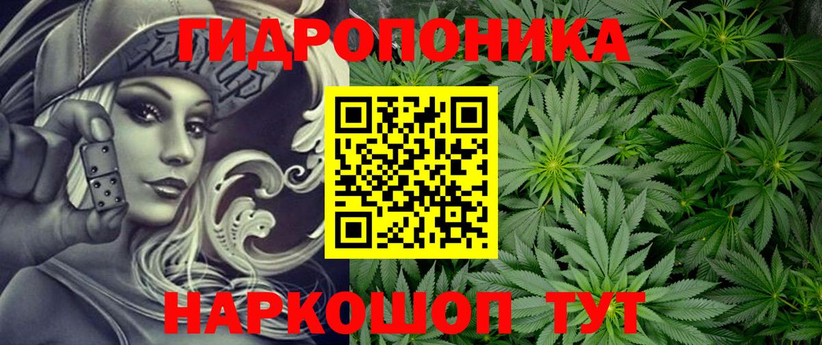 Бошки марихуана SATIVA & INDICA  Конопля план  Избербаш  Марихуана MAZAR 